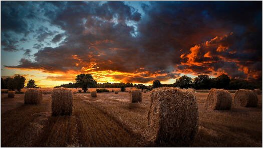 Samsung VM55B-U Ultra Narrow Bezel Video Wall - LH55VMBUBGBXUE